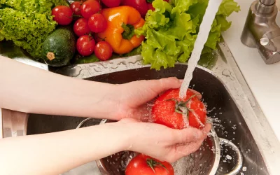 Top Tips for Food Safety and Hygiene