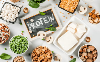 Discover the 8 High-Protein Foods Everyone Needs